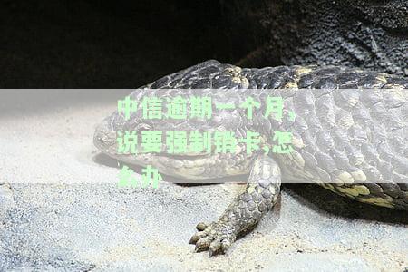 中信银行逾期多久会销卡？上征信逾期天数及卡失效情况