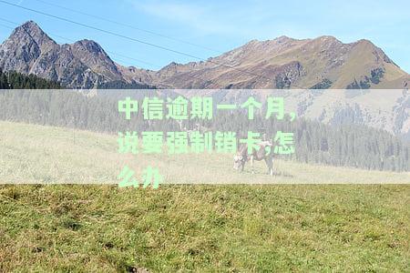 中信的信用卡逾期一个月被冻结怎么办？