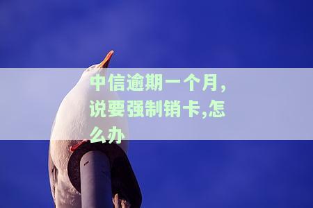 中信逾期一个月,说要强制销卡,怎么办-中信银行逾期一个月要销卡及全额收清