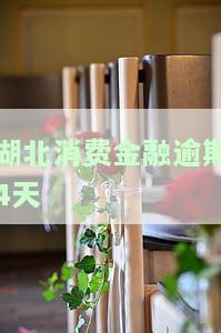 湖北消费金融逾期多久会起诉，逾期贷款费用合法吗？