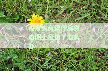 山东农村商业银行房贷一般多长时间下来，山东农村商业银行房贷审批时长：一般需要多久？