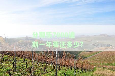 分期乐欠7000块钱逾期会被起诉吗？
