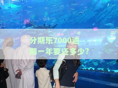 分期乐逾期8000会怎么样，分期乐逾期8000：后果严重？