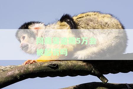 网商贷逾期5万会被起诉吗怎么办？