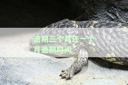 逾期三个月还清了多久恢复征信