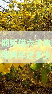 分期乐借款六千没还，欠6万不还后果？