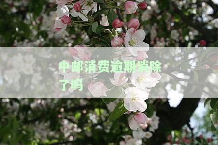 中邮消费逾期多久会起诉，中邮消费逾期多久会起诉？了解法律界定与风险管理