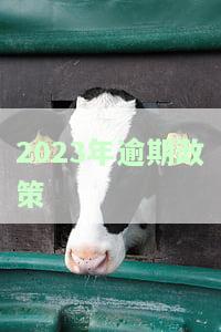 2021年逾期新政策，2021年逾期新政策：影响与应对策略