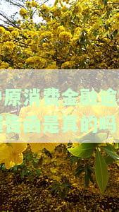 中原消费金融的催款信息什么样子的，中原消费金融的催款信息样式揭秘