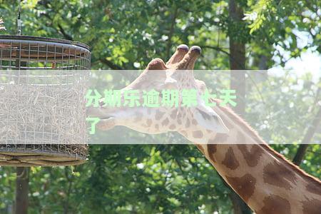 分期乐逾期7天还了就不可以借了吗，逾期7天后，分期乐将暂停借款资格？