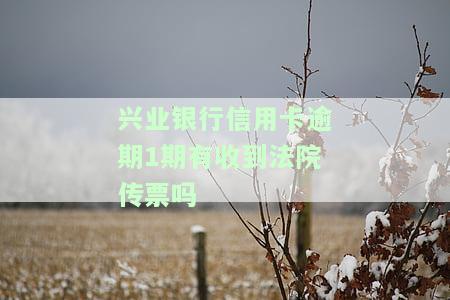 兴业银行逾期会起诉吗？逾期1万2被起诉怎么办？