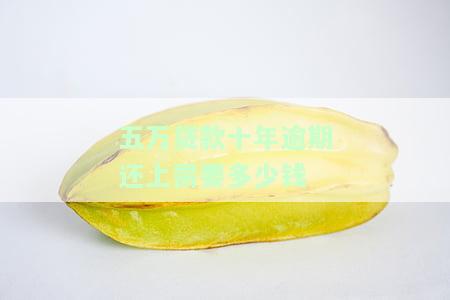 五万元贷款十年后还多少利息和本金