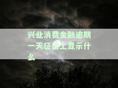 兴业消费金融逾期一天征信上显示什么内容及后果