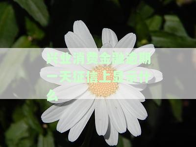 兴业消费金融逾期一个月会不会影响信用卡，兴业消费金融逾期一个月：信用卡受到影响吗？