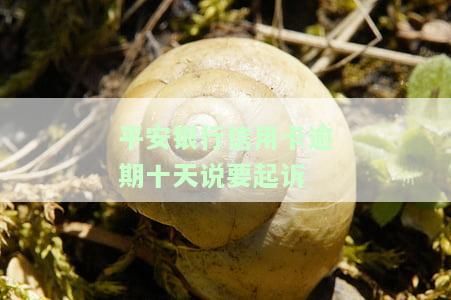 平安银行信用卡逾期十天说要起诉我怎么办？