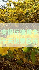 平安银行信用卡逾期，平安银行信用卡逾期：了解风险与应对策略