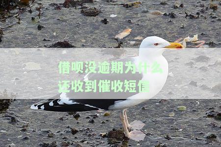 借呗没逾期为什么给我打电话？