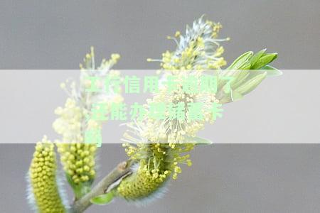 工行信用卡逾期了,还能办理蓄卡吗怎么办？