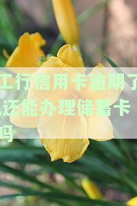 工行信用卡逾期了,还能办理蓄卡吗-工行信用卡逾期了,还能办理蓄卡吗