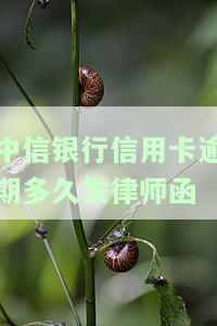 中信银行信用卡逾期多久发律师函