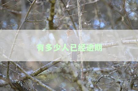 有多少人逾期了2021及2023负债，现在仍无法偿还？