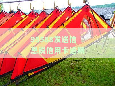 95588发送信息说信用卡逾期怎么办，95566发信息说信用卡严重逾期