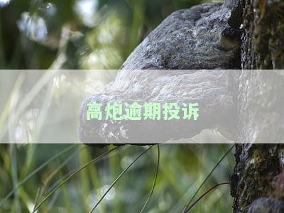 高炮逾期投诉有用吗？平台会上征信吗？