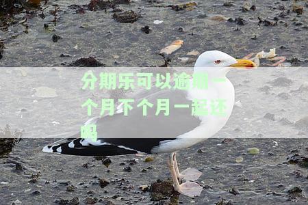 分期乐逾期一个月还清了还可以贷款吗？征信记录受影响吗？