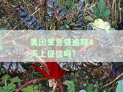 美团生意贷逾期3天忘记还有影响吗？如何处理？