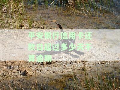 平安的信用卡还款期限，安心管理：了解平安信用卡的还款期限