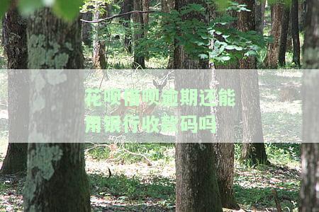 花呗借呗逾期还能用银行收款码吗，安全吗？