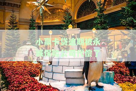 小赢卡贷逾期被永诚保险公司代偿了吗，小赢卡贷逾期：永诚保险公司是否代偿？