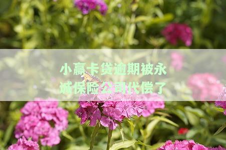 小赢卡贷被代偿了后保险公司会怎么处理，小赢卡贷代偿情况下，保险公司的处理方式解析