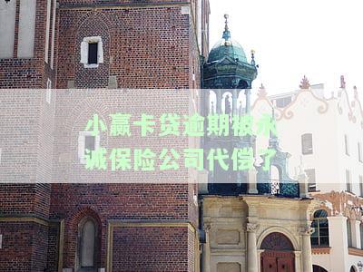 小赢卡贷有保险代偿吗，小赢卡贷：贷款有保险代偿服务吗？