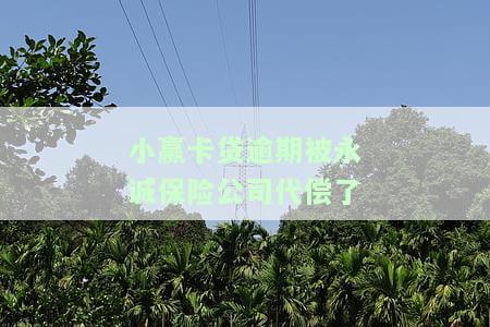 小赢卡贷逾期被永诚保险公司代偿了-小赢卡贷逾期被永诚保险公司代偿了怎么办