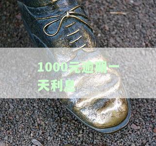 逾期一天利息1000多怎么算，逾期一天利息100多合理吗