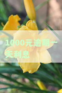 1000元逾期一个月利息是多少