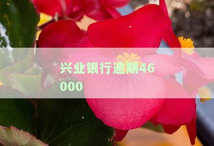 兴业银行逾期协商电话说第三方回复我，兴业银行逾期协商电话：第三方回复