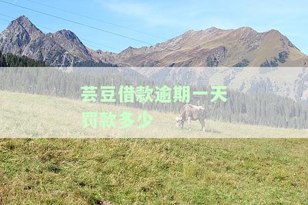 芸豆借款不逾期会爆通讯录吗，芸豆借款不逾期：是否会爆通讯录？