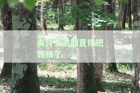 支付宝逾期直接把钱扣了可以吗，支付宝逾期：直接扣款合规吗？