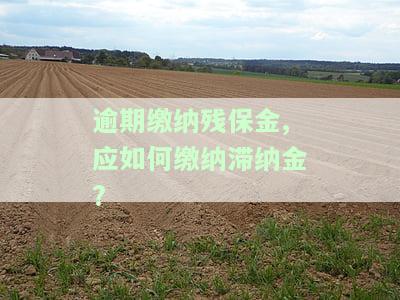 逾期申报残保金网上申报及处理说明