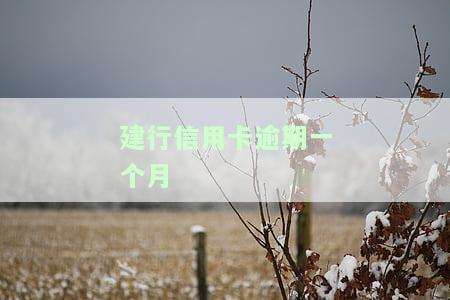 建行信用卡逾期一个月会有征信记录吗？如何应对逾期影响贷款？