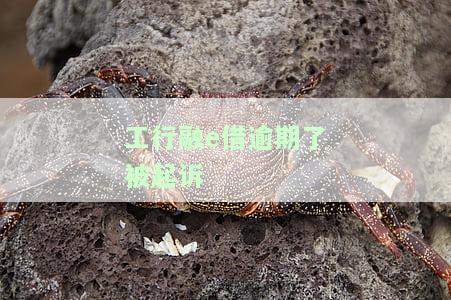 工商融e借逾期了怎么办，工商银行融e借逾期多久上征信