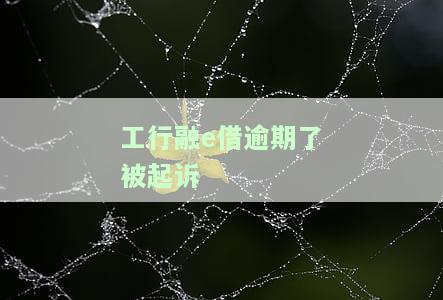 工行融e借逾期了没钱还可以跟银行协商吗，工行融e借逾期？无法偿还？如何与银行协商？