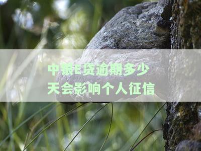 中银e贷逾期多少天会影响个人征信记录？
