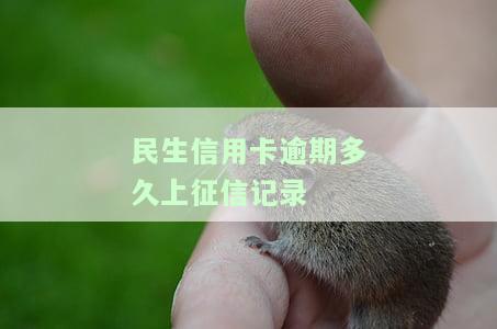 民生银行卡信用卡逾期会怎么样处理？逾期多久会停卡？逾期上征信吗？逾期会被起诉吗？