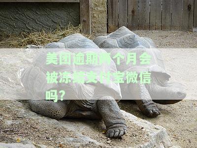 美团逾期两个月会被冻结支付宝微信怎么解冻