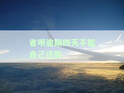 省呗逾期四天不能自己还款-省呗逾期四天不能自己还款吗