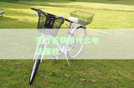 交通银行逾期催收电话及地址核对