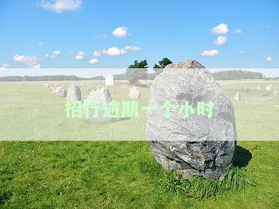 招行逾期一个小时
